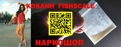 крисы Новодвинск