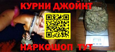 крисы Новодвинск