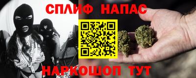 крисы Новодвинск