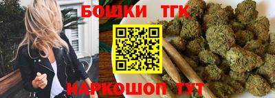 крисы Новодвинск