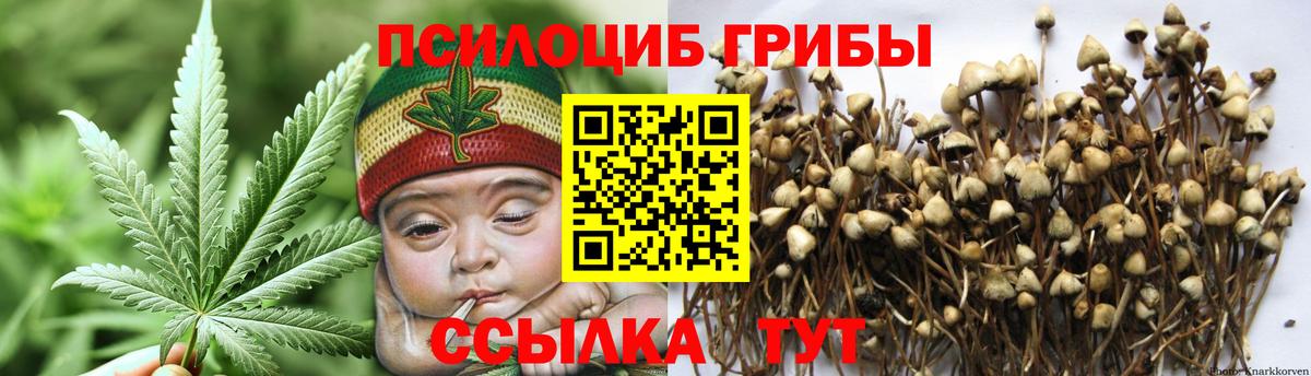 Псилоцибиновые грибы Magic Shrooms Приморско-Ахтарск